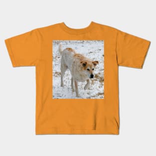 Australian Cattle dog in the snow Kids T-Shirt